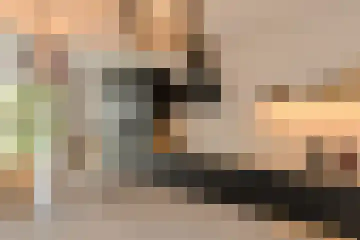 Mariastraat 34 Bavel thumbnail 10