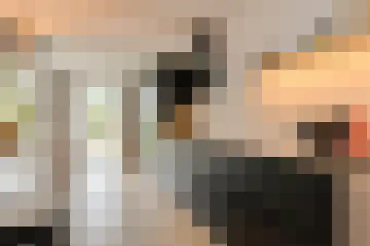 Mariastraat 34 Bavel thumbnail 11