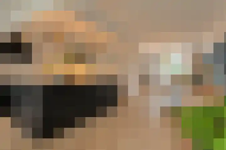 Mariastraat 34 Bavel thumbnail 13
