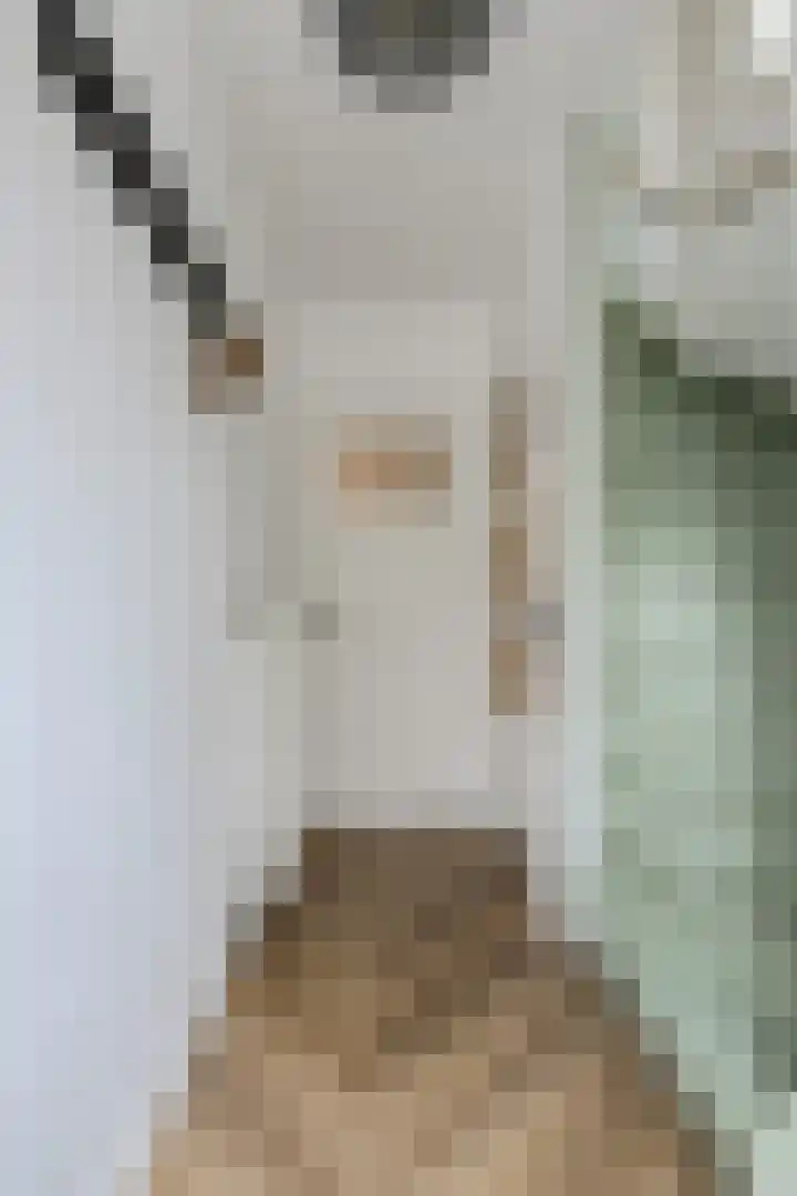 Mariastraat 34 Bavel thumbnail 21