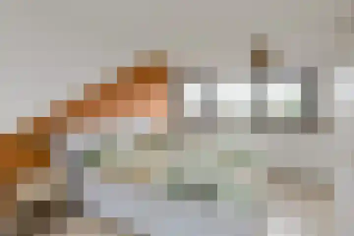 Mariastraat 34 Bavel thumbnail 36