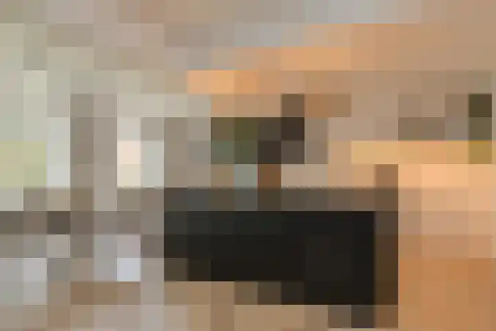 Mariastraat 34 Bavel thumbnail 9
