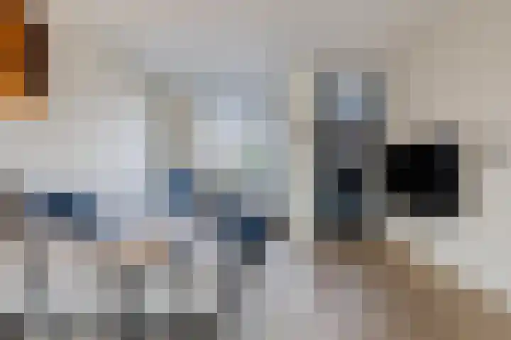 Mariastraat 35 Reuver thumbnail 13