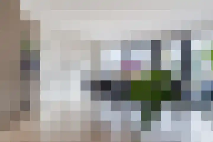 Mariastraat 35 Reuver thumbnail 17