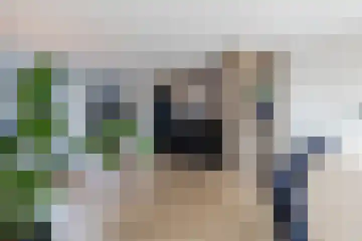 Mariastraat 35 Reuver thumbnail 21