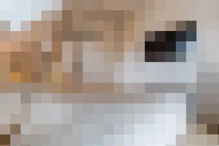 Mariastraat 35 Reuver thumbnail 40