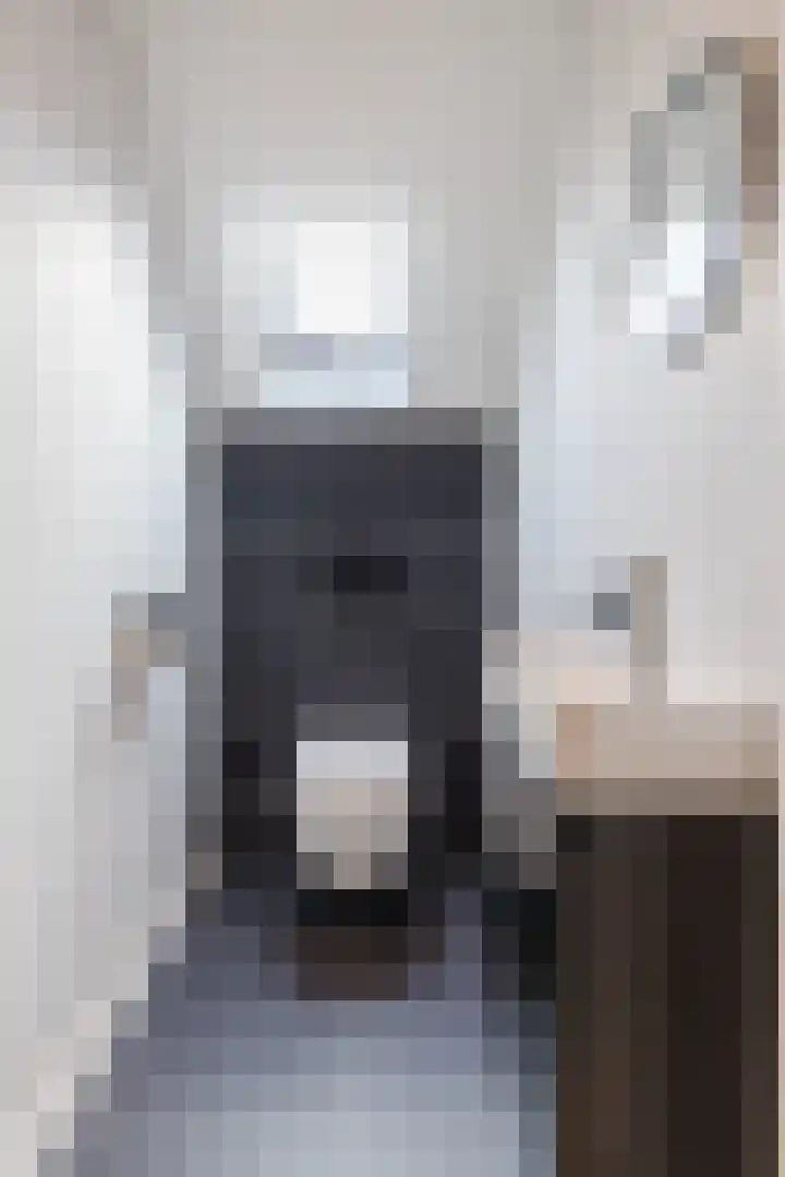 Mariastraat 35 Reuver thumbnail 45