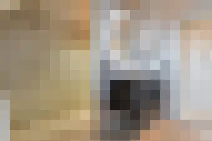 Mariastraat 35 Reuver thumbnail 48