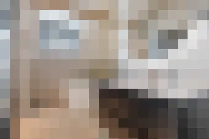 Mariastraat 35 Reuver thumbnail 51