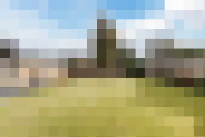 Mariastraat 35 Reuver thumbnail 57