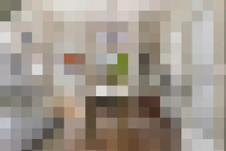 Mariastraat 37 Apeldoorn thumbnail 21