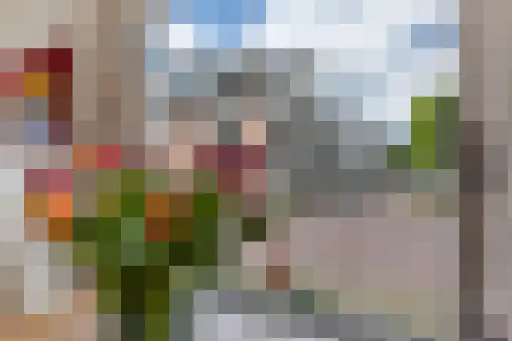 Mariastraat 37 Apeldoorn thumbnail 22