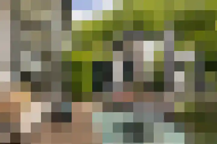 Mariastraat 37 Apeldoorn thumbnail 29