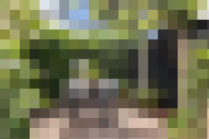 Mariastraat 37 Apeldoorn thumbnail 30