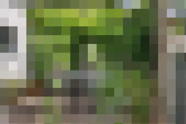 Mariastraat 37 Apeldoorn thumbnail 31