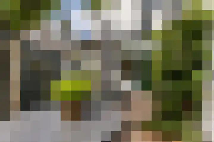 Mariastraat 37 Apeldoorn thumbnail 32