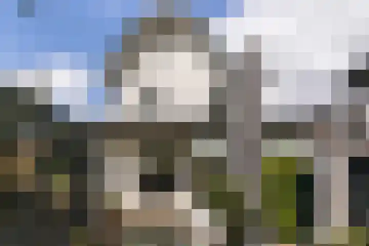 Mariastraat 37 Apeldoorn thumbnail 33