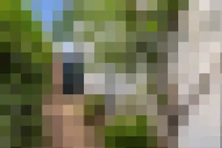 Mariastraat 37 Apeldoorn thumbnail 34