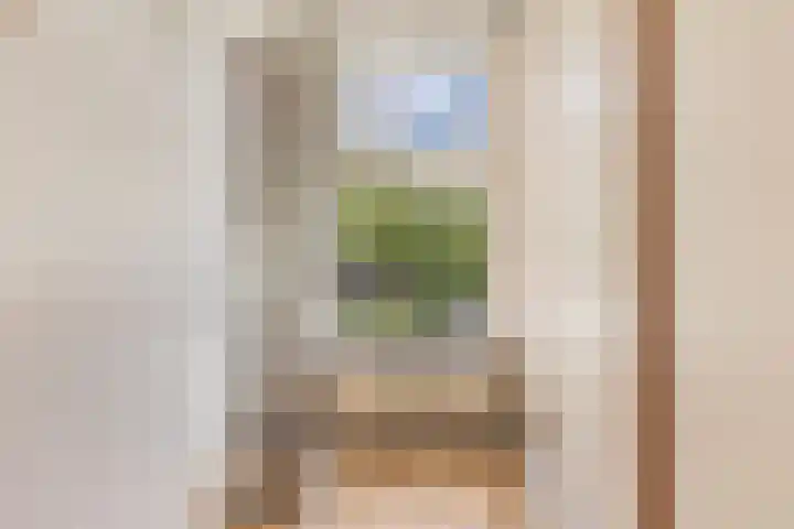 Mariastraat 37 Apeldoorn thumbnail 39