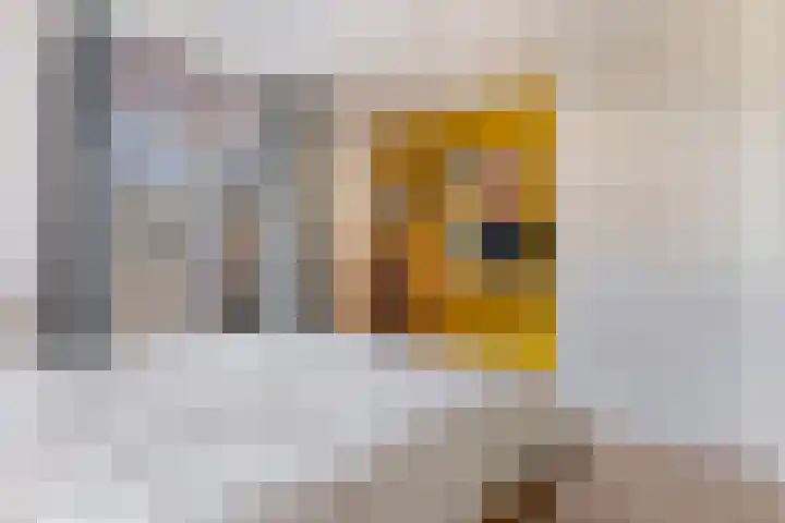 Mariastraat 37 Apeldoorn thumbnail 43