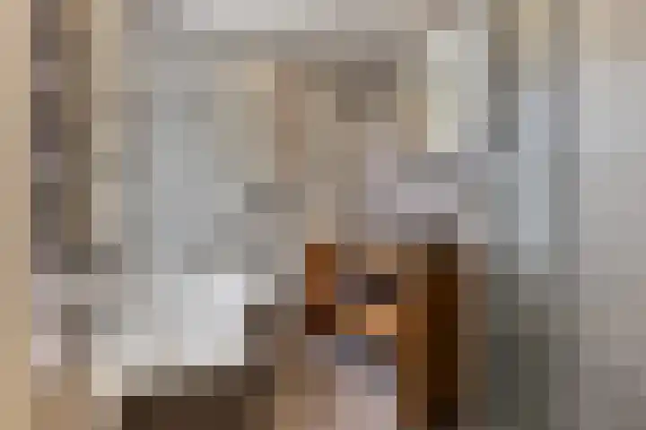 Mariastraat 37 Apeldoorn thumbnail 45
