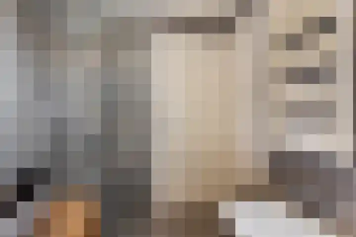 Mariastraat 37 Apeldoorn thumbnail 48