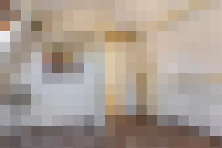 Mariastraat 37 Apeldoorn thumbnail 54