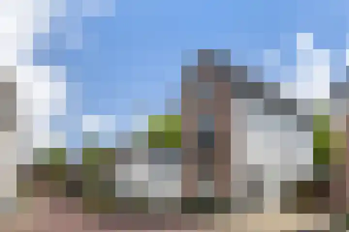 Mariastraat 37 Apeldoorn thumbnail 61