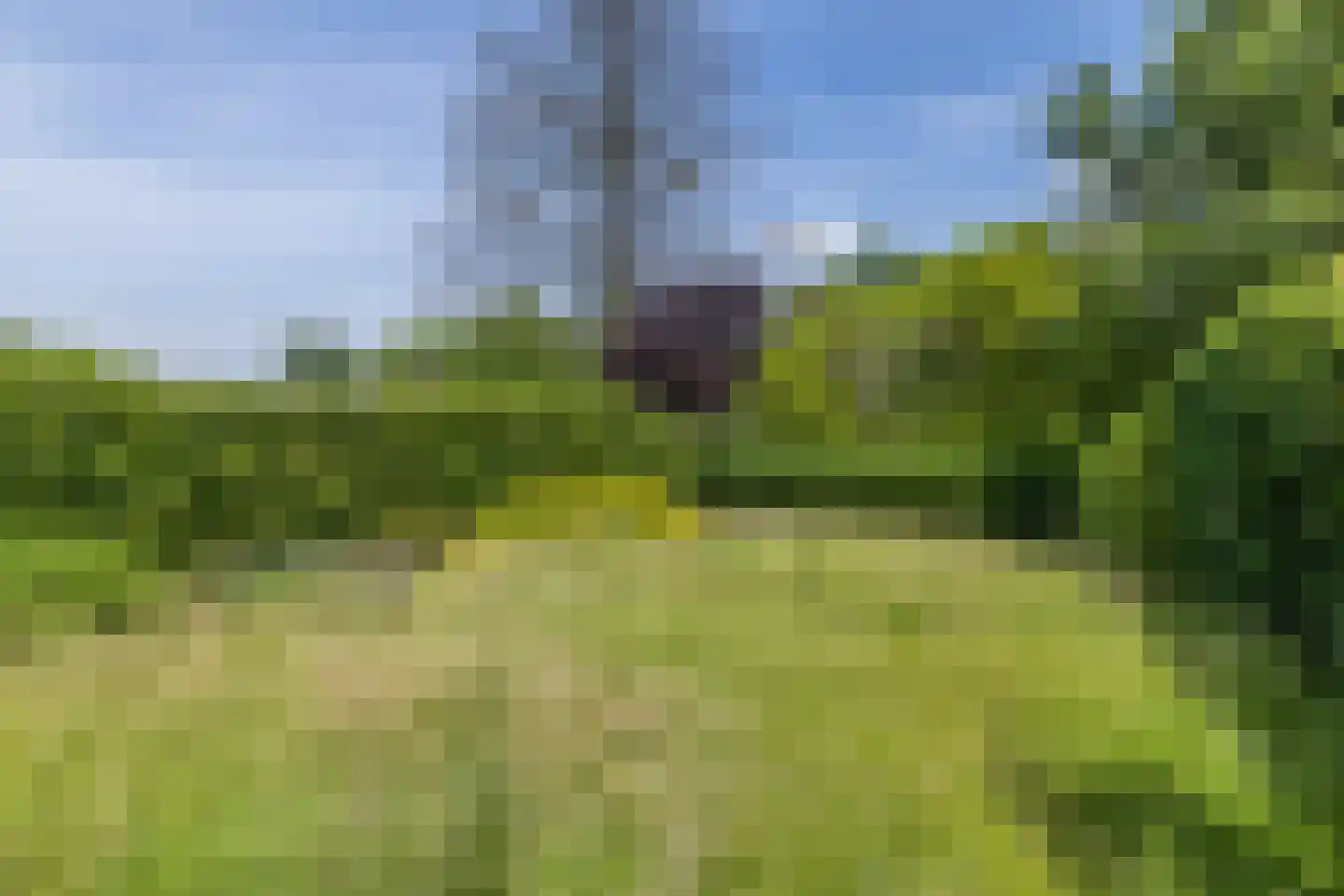 Mariastraat 37 Nuth thumbnail 20