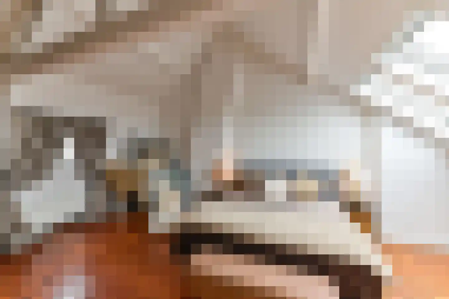 Mariastraat 4 Venlo thumbnail 21
