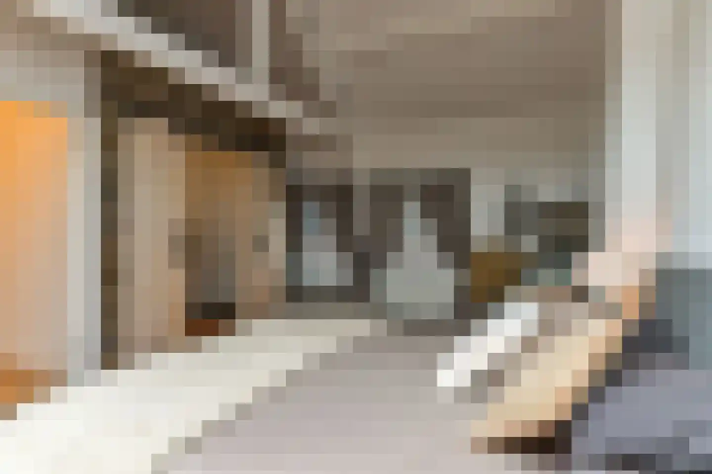 Mariastraat 4 Venlo thumbnail 22