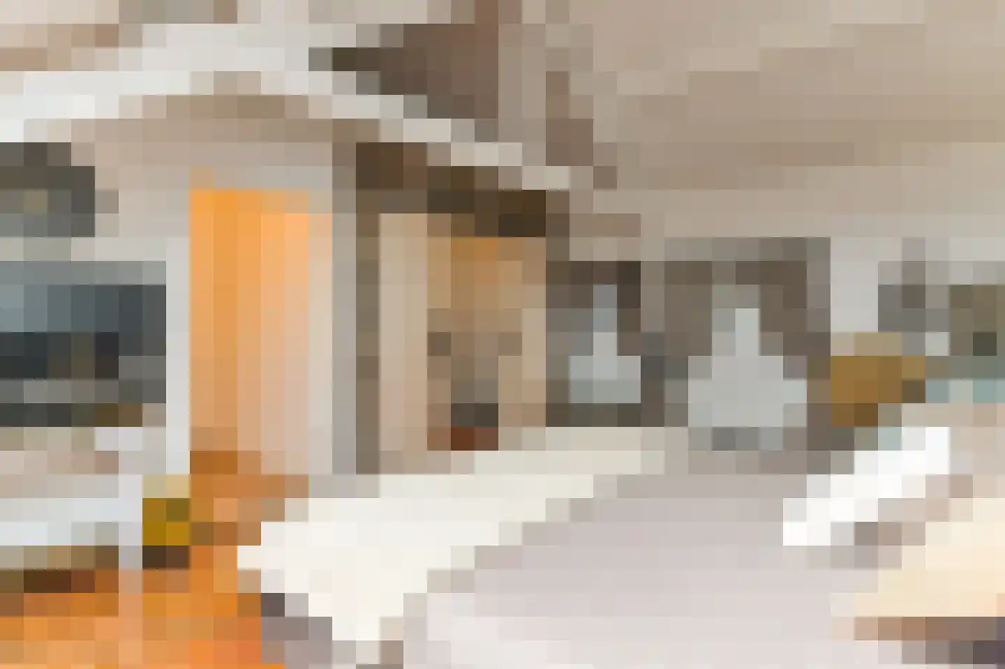 Mariastraat 4 Venlo thumbnail 24