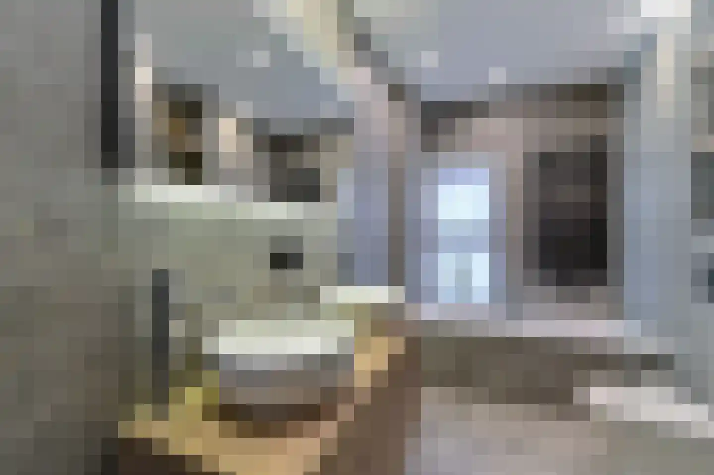 Mariastraat 4 Venlo thumbnail 5