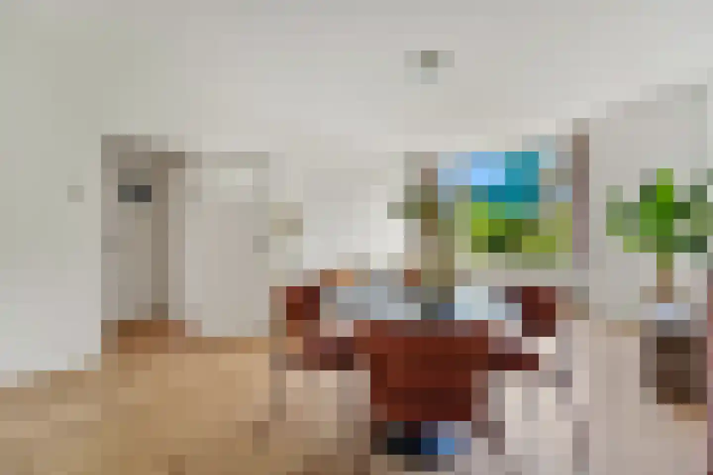 Mariastraat 43 Den Haag thumbnail 10