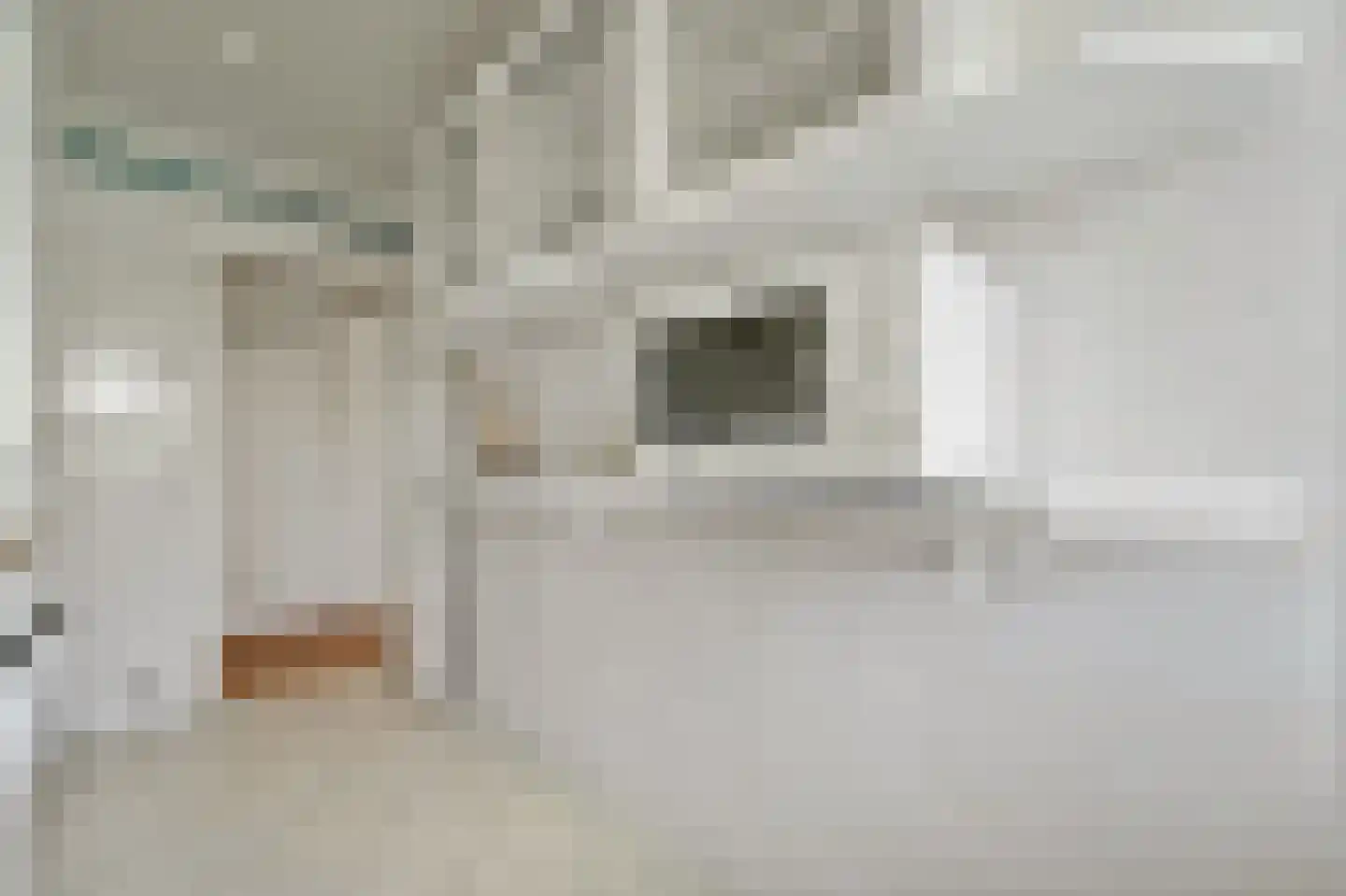 Mariastraat 43 Den Haag thumbnail 19