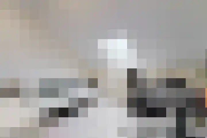 Mariastraat 45 Den Haag thumbnail 22