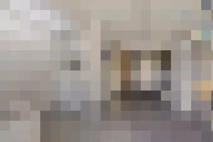 Mariastraat 54 Aarle-Rixtel thumbnail 16
