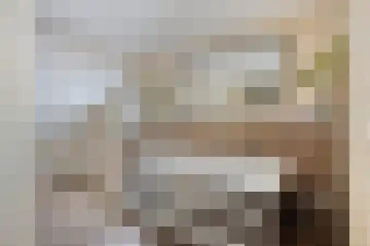 Mariastraat 54 Aarle-Rixtel thumbnail 36