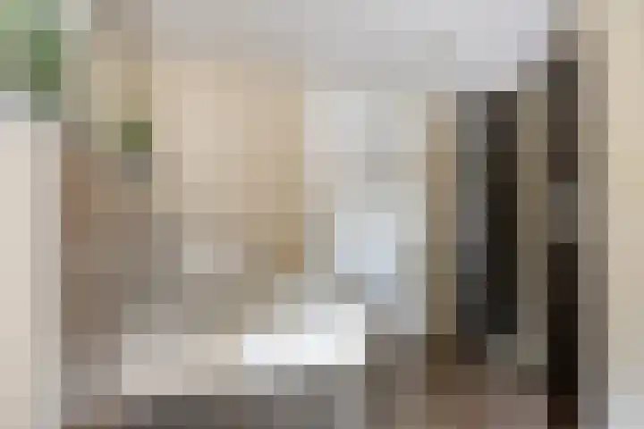 Mariastraat 54 Aarle-Rixtel thumbnail 37