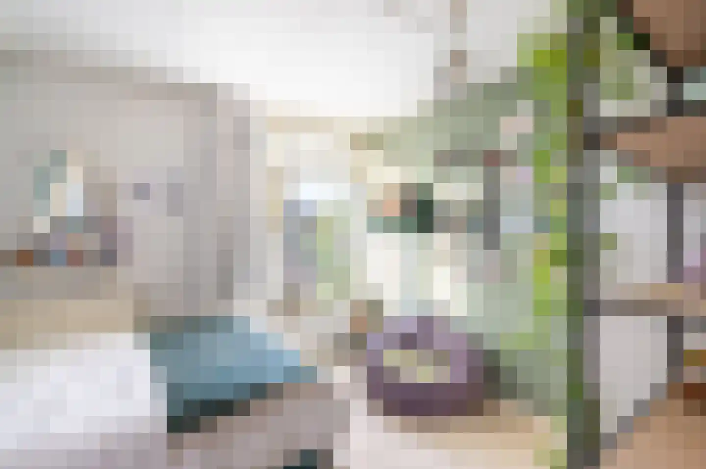 Mariastraat 56 Apeldoorn thumbnail 32
