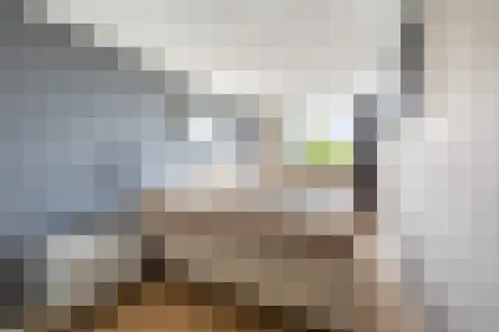 Mariastraat 56 Hillegom thumbnail 20