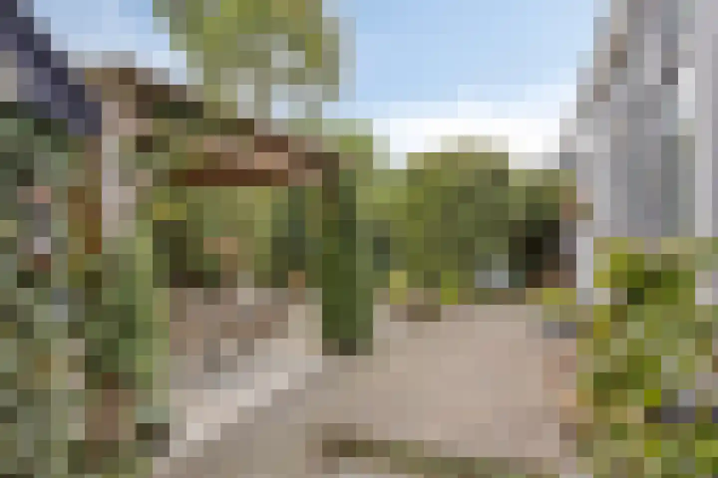 Mariastraat 61 Apeldoorn thumbnail 33