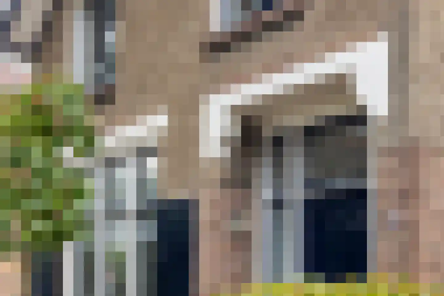 Mariastraat 61 Apeldoorn thumbnail 38