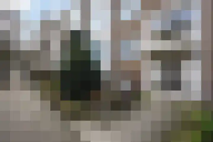 Mariastraat 63 Den Haag thumbnail 4