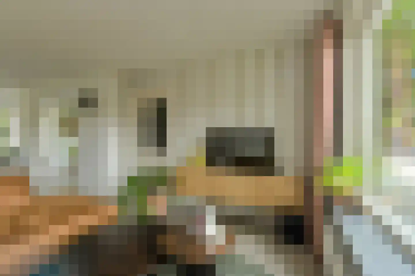 Mariastraat 7 Bavel thumbnail 10