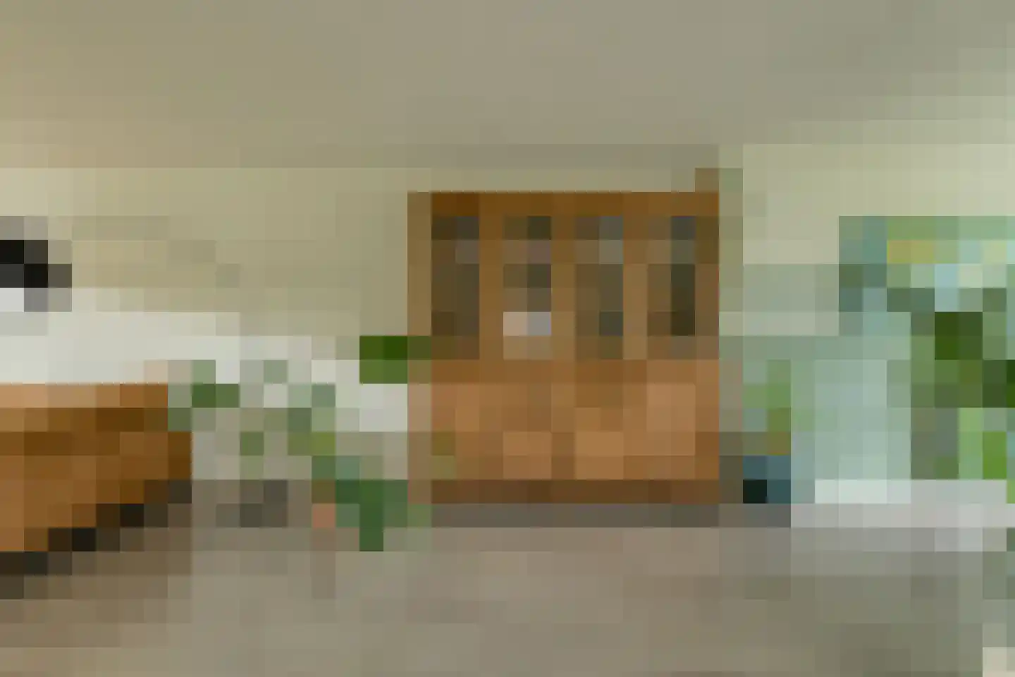 Mariastraat 7 Bavel thumbnail 13