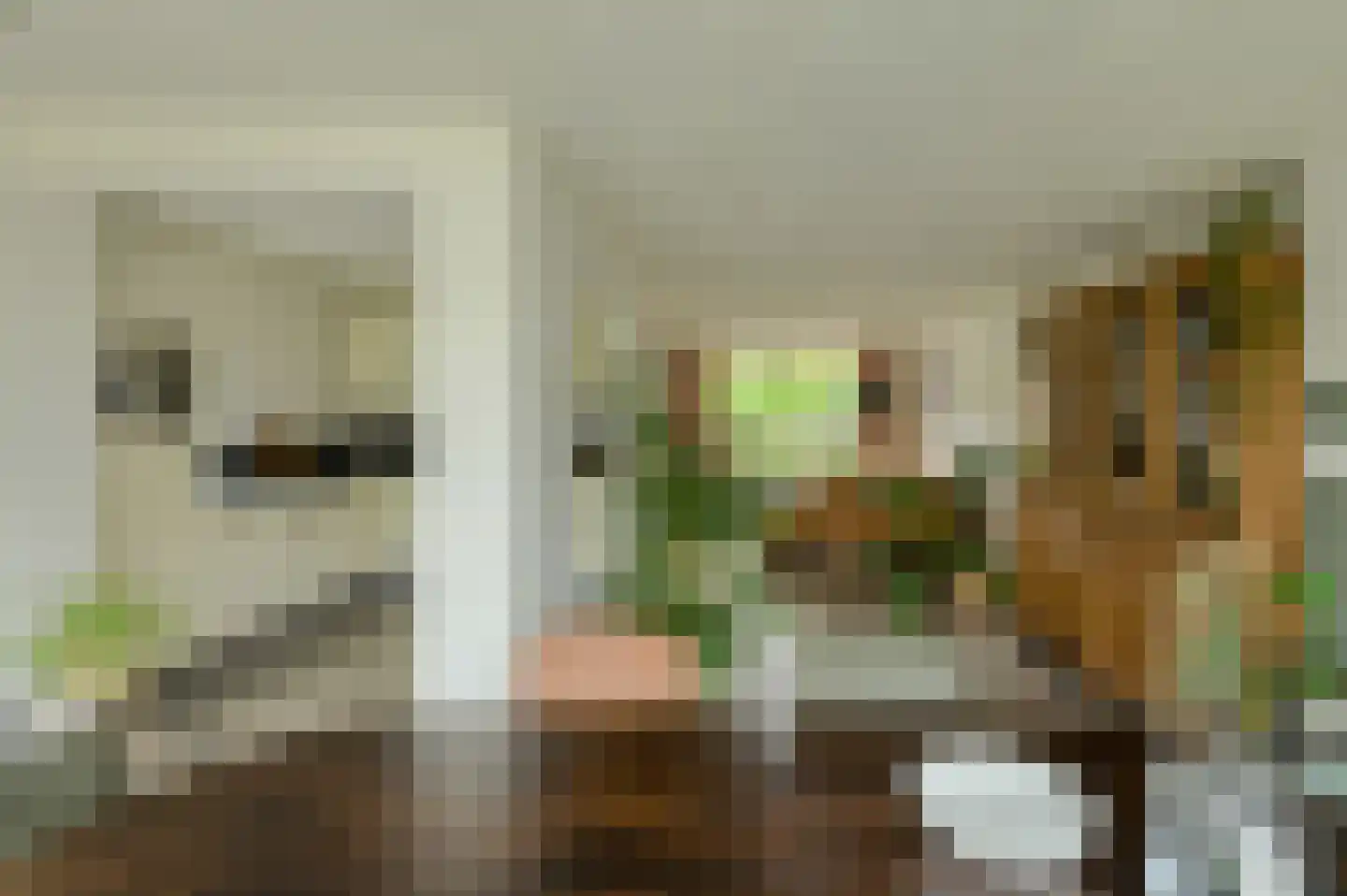 Mariastraat 7 Bavel thumbnail 17