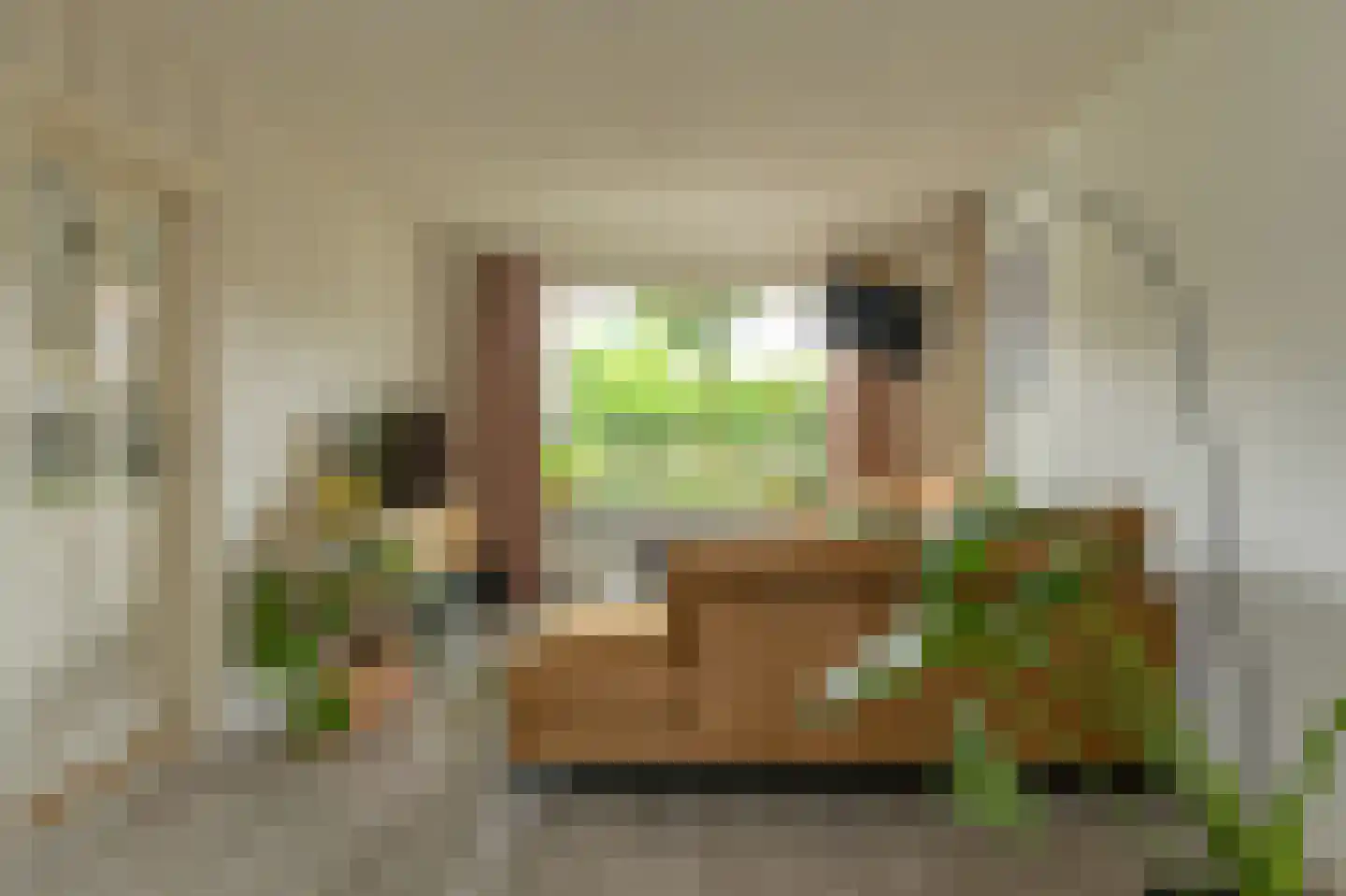 Mariastraat 7 Bavel thumbnail 19