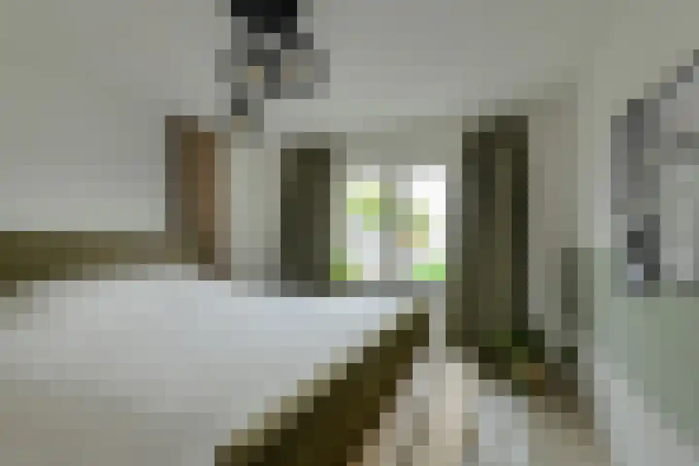 Mariastraat 7 Bavel thumbnail 25