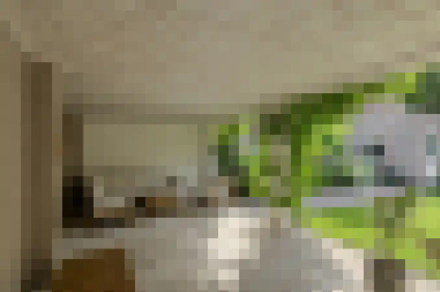 Mariastraat 7 Bavel thumbnail 37